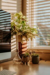 Tips for Creating a Cozy and Inviting Home Workspace